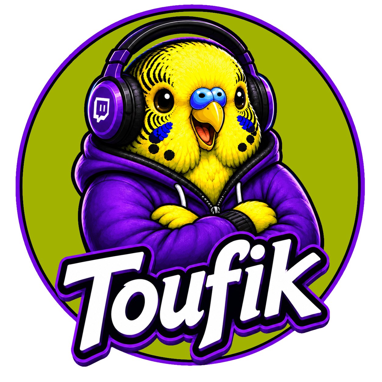 Аватар Toufik